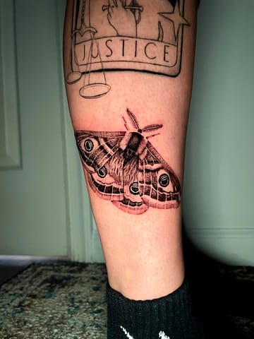 Allyssa-Bollmann- Moth-Tattoos