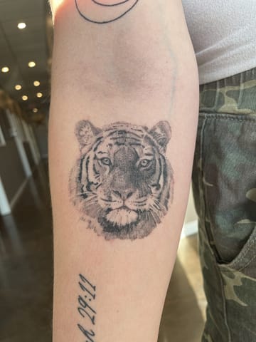 Allyssa-Bollmann- Tiger -Tattoos