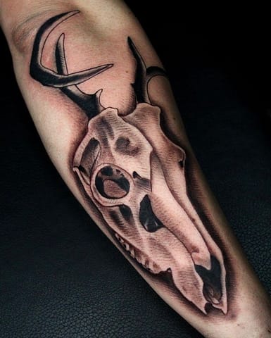 Pure Ink Tattoo - NJ - Tito Rodriguez - Cow Skull Tattoo